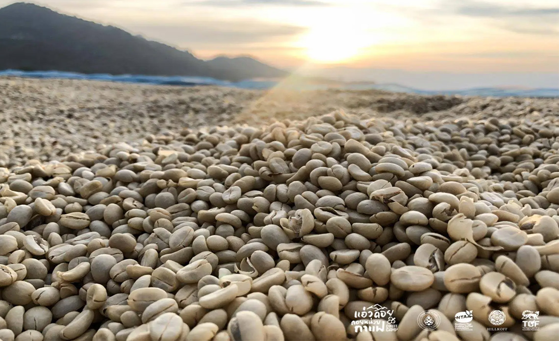 You are currently viewing รู้ไหม?….ทำไมกาแฟจึงสร้างรายได้และเป็นเครื่องดื่มที่ได้รับความนิยมจากทั่วทุกมุมโลก