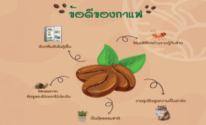 Read more about the article ข้อดีของกาแฟ EP.1