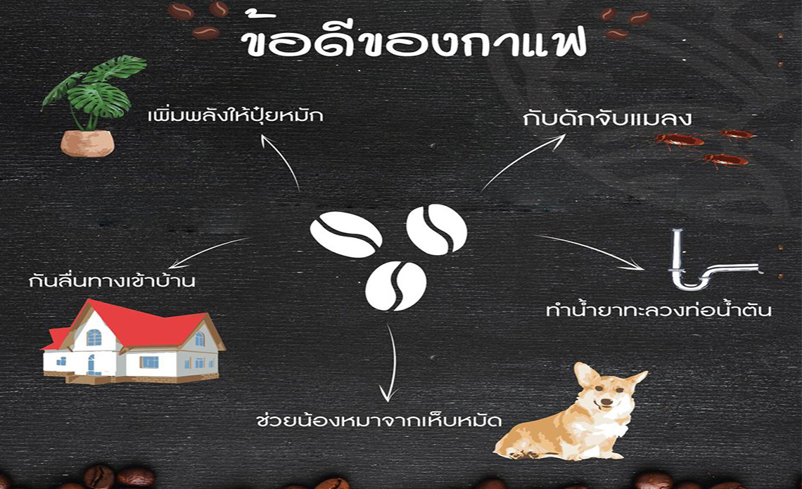 You are currently viewing ข้อดีของกาแฟ EP.2
