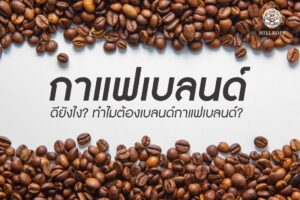 Read more about the article กาแฟเบลนด์ ดียังไง ทำไมต้องเบลนด์ ??