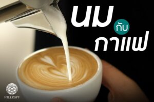 Read more about the article นม กับ กาแฟ คู่ซี้ ที่เกิดมาคู่กัน