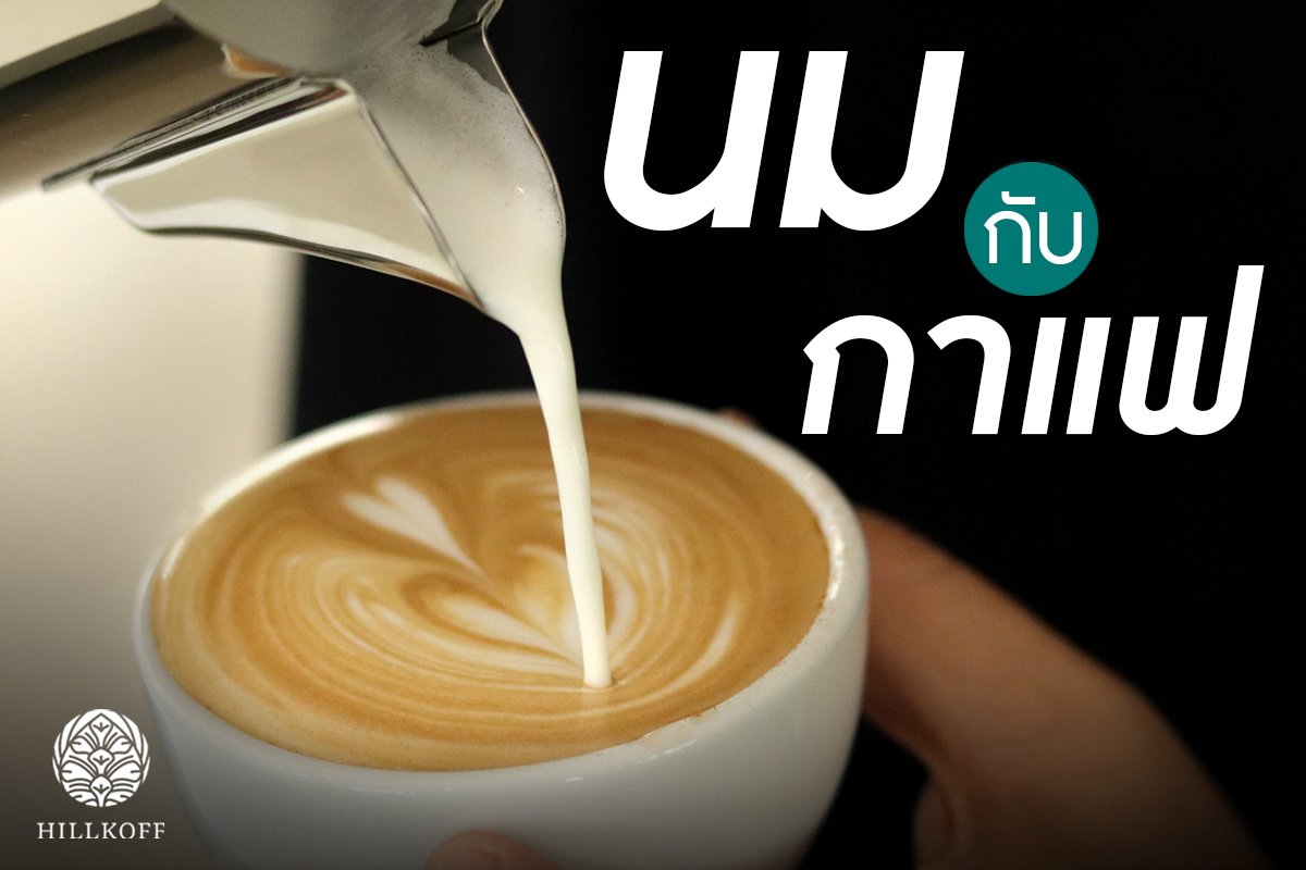 You are currently viewing นม กับ กาแฟ คู่ซี้ ที่เกิดมาคู่กัน