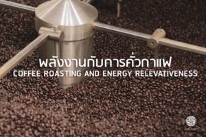Read more about the article พลังงานกับการคั่วกาแฟ คืออะไรกัน วันนี้แอดมินมีข้อมูลดี ๆ มาให้อ่านกันค่ะ