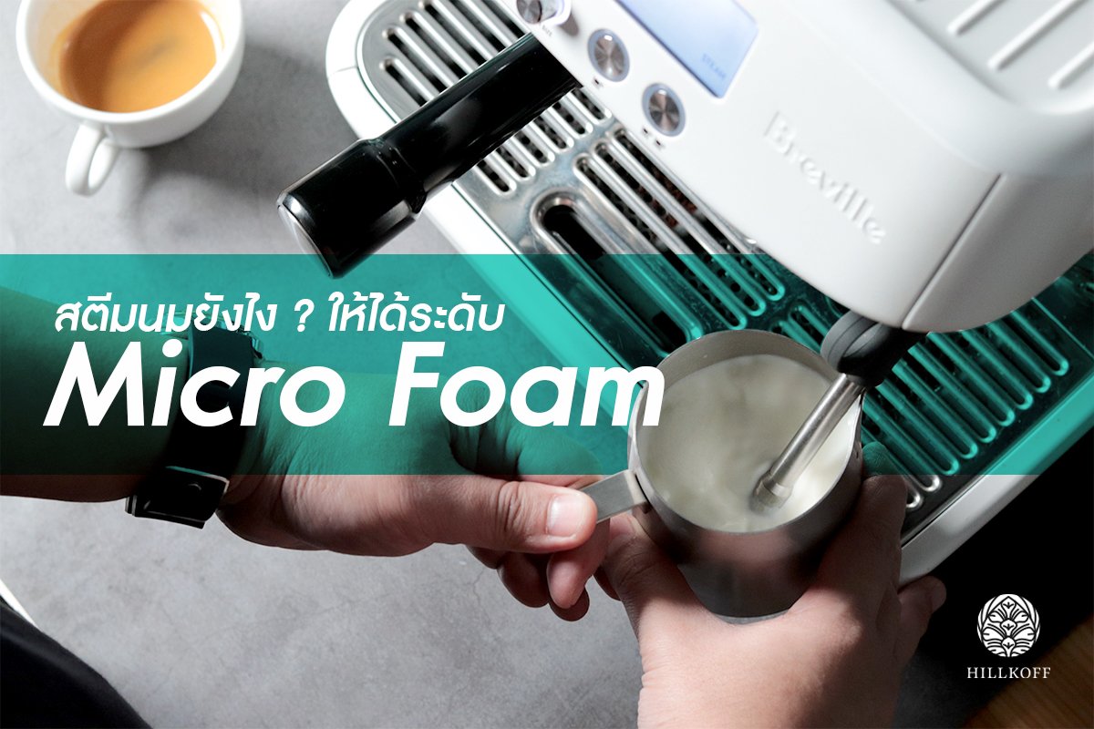 You are currently viewing สตีมนมยังไง ให้ได้ระดับ Micro Foam? | How to steam milk to make Micro Foam?