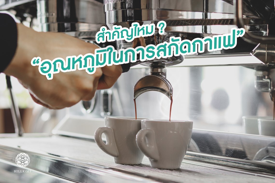 You are currently viewing สำคัญไหม ? อุณหภูมิน้ำในการสกัดกาแฟ