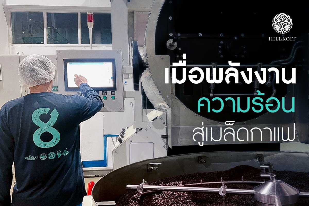 You are currently viewing เมื่อพลังงานความร้อนสู่เมล็ดกาแฟ จะเกิดอะไรขึ้นบ้าง (EP.1)