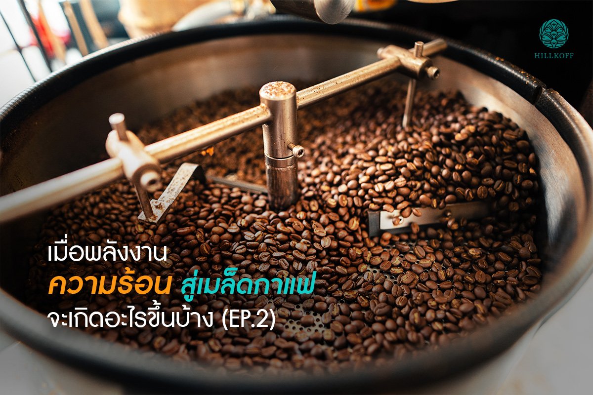 You are currently viewing เมื่อพลังงานความร้อนสู่เมล็ดกาแฟ จะเกิดอะไรขึ้นบ้าง (EP.2)