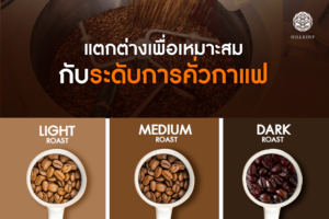 Read more about the article  แตกต่างเพื่อเหมาะสม กับระดับการคั่วกาแฟ 