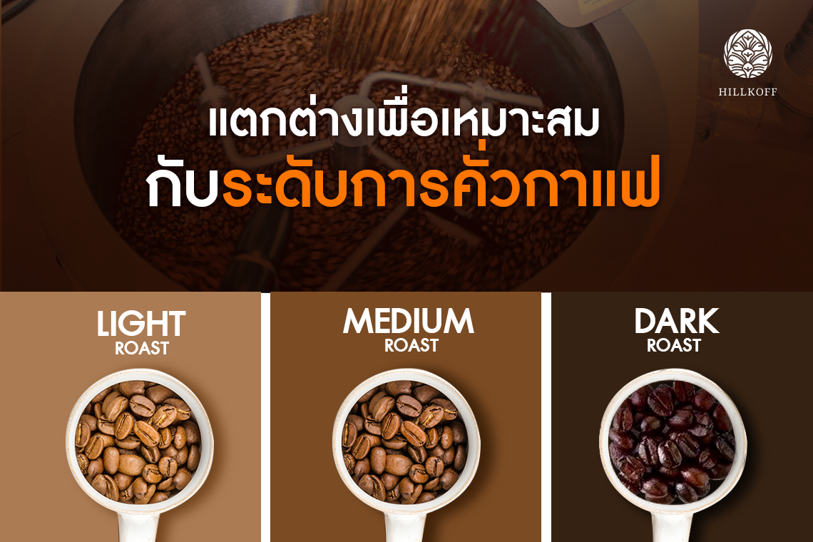 You are currently viewing  แตกต่างเพื่อเหมาะสม กับระดับการคั่วกาแฟ 