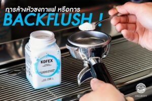 Read more about the article Backflush ! คืออะไร ?