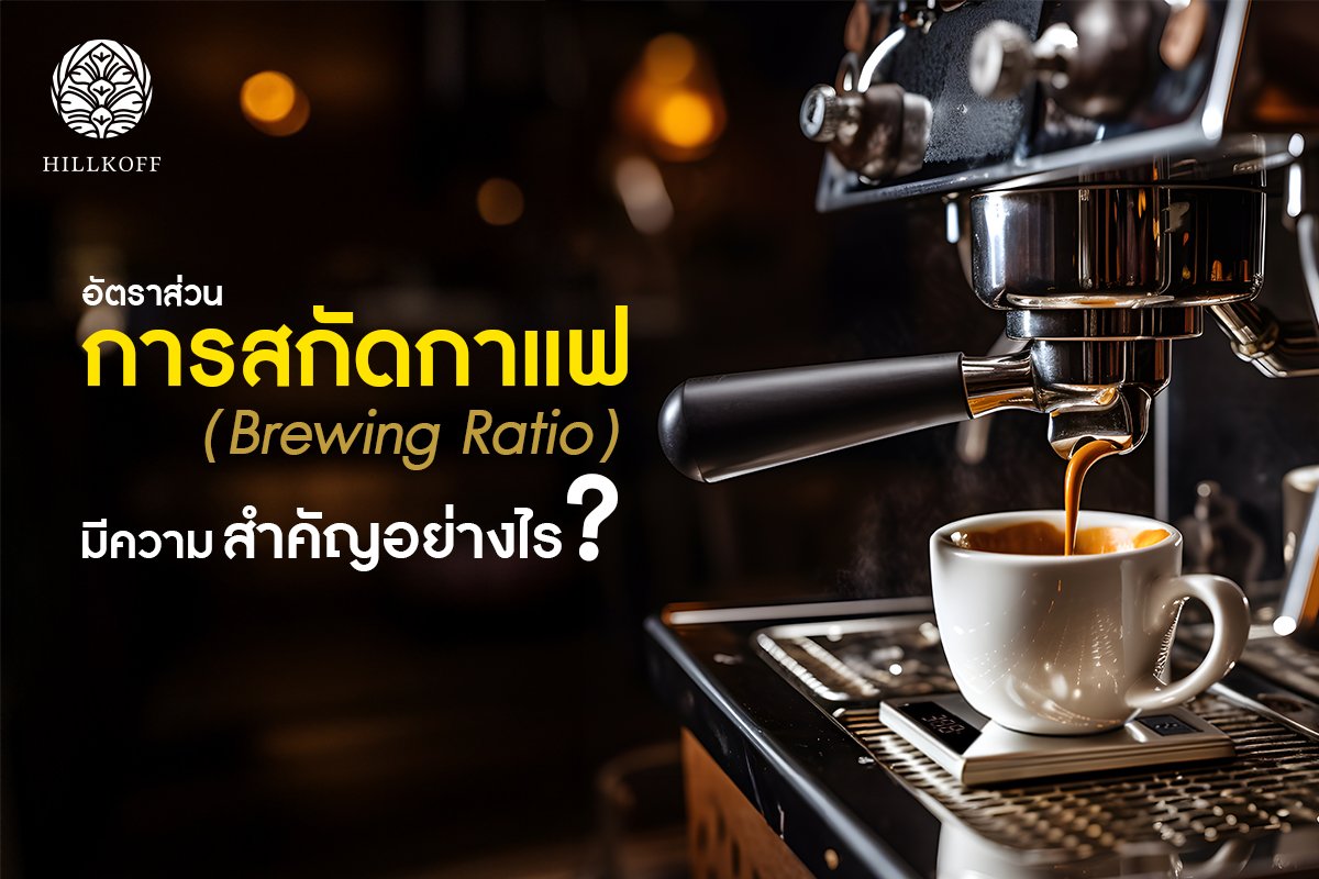 You are currently viewing อัตราส่วนการสกัดกาแฟ (Brewing Ratio) มีความสำคัญอย่างไร??