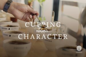 Read more about the article Cupping เพื่อหา Character