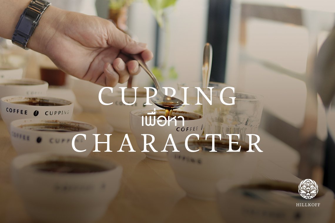 You are currently viewing Cupping เพื่อหา Character