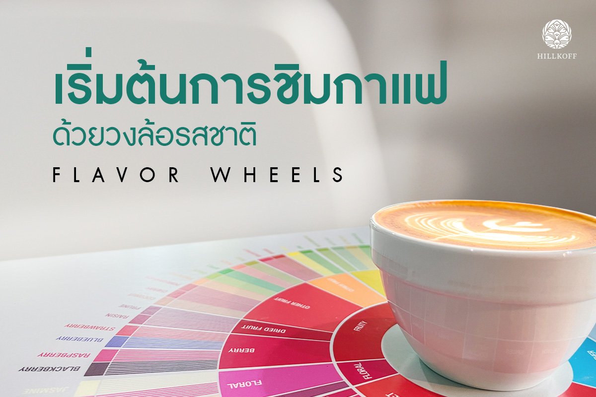 You are currently viewing เริ่มต้นการชิมกาแฟด้วยวงล้อรสชาติ (Flavor Wheels)