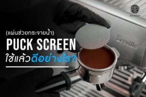 Read more about the article Puck Screen แผ่นช่วยกระจายน้ำ ใช้แล้วดีอย่างไร?