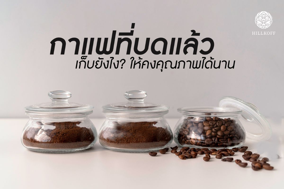 You are currently viewing กาแฟที่บดแล้วเก็บยังไง ? ให้คงคุณภาพได้นาน