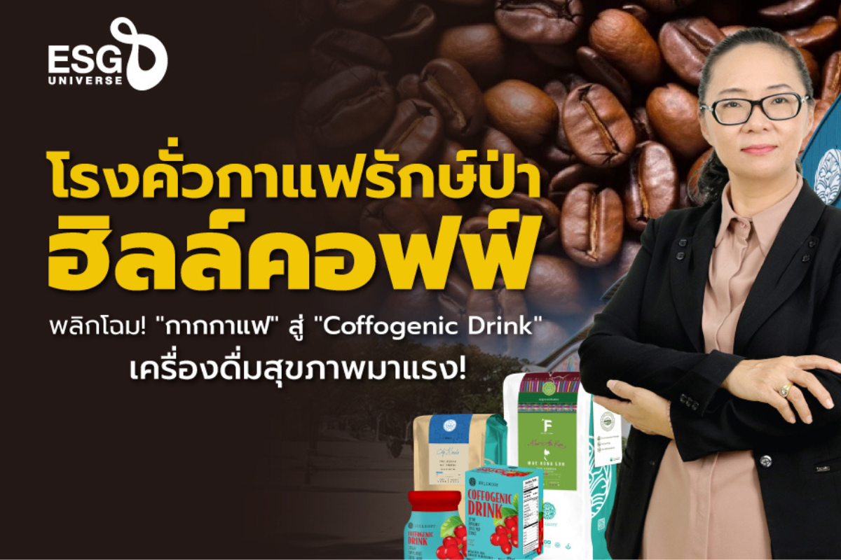 You are currently viewing ถอดโมเดล 50 ปี! ‘ฮิลล์คอฟฟ์’ พัฒนา กาแฟคาร์บอนต่ำ สู่ ‘Coffogenic Drink’ เครื่องดื่มเพื่อสุขภาพ ได้อย่างไร?