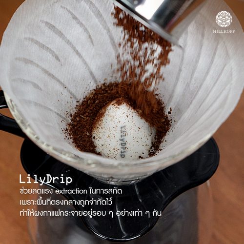 Lily Drip-1